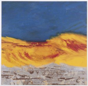 Desert Shield Desert Shield