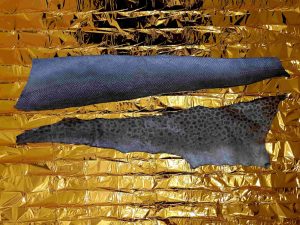 Looking into the Sun, Salmon & Wolf Fish Skin Looking into the Sun, Salmon & Wolf Fish Skin