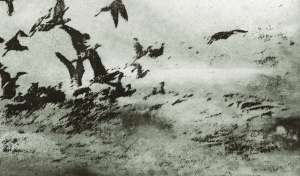 Croagh Patrick from Inishturk Croagh Patrick from Inishturk