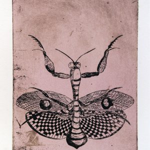 Praying Mantids in Lilac