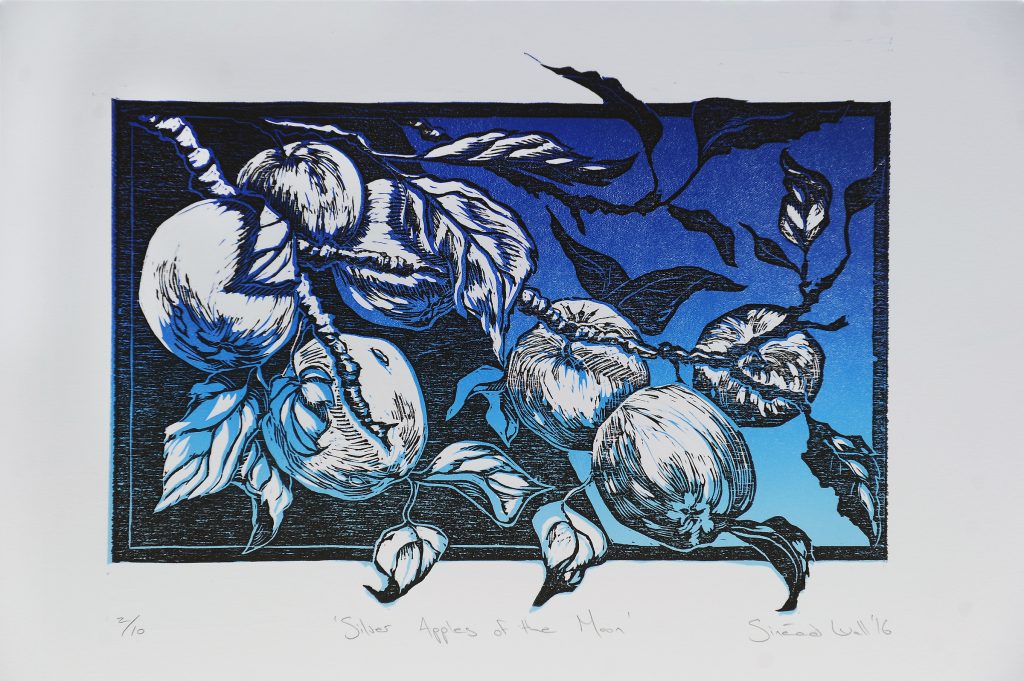 Silver Apples of the Moon