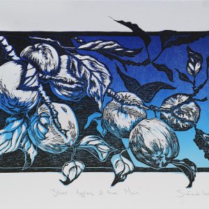 Silver Apples of the Moon